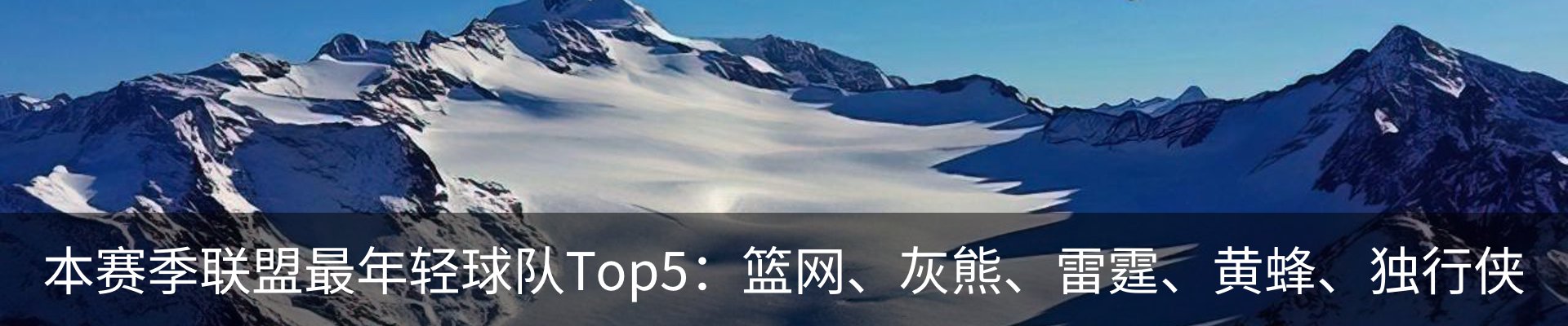 最新动态