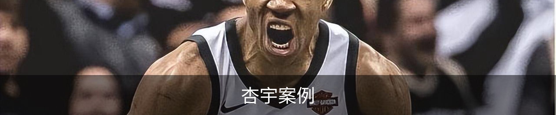 杏宇案例
