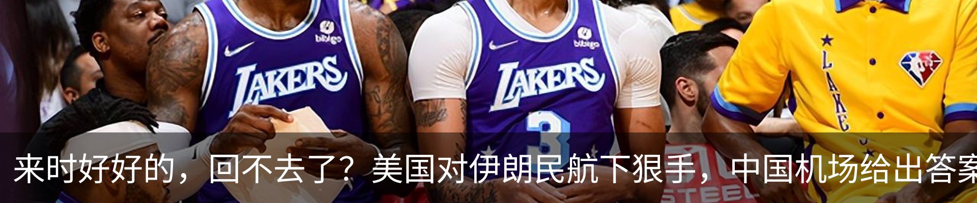最新动态