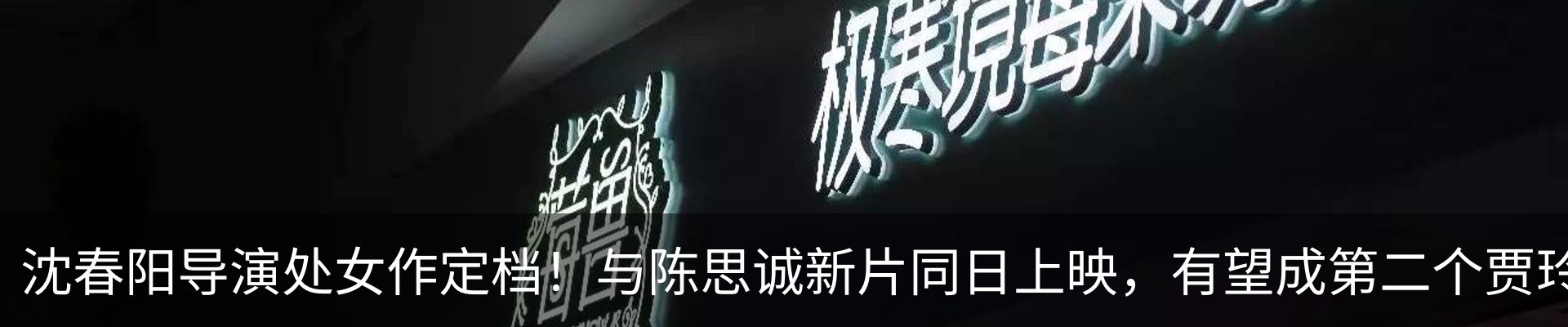 最新动态