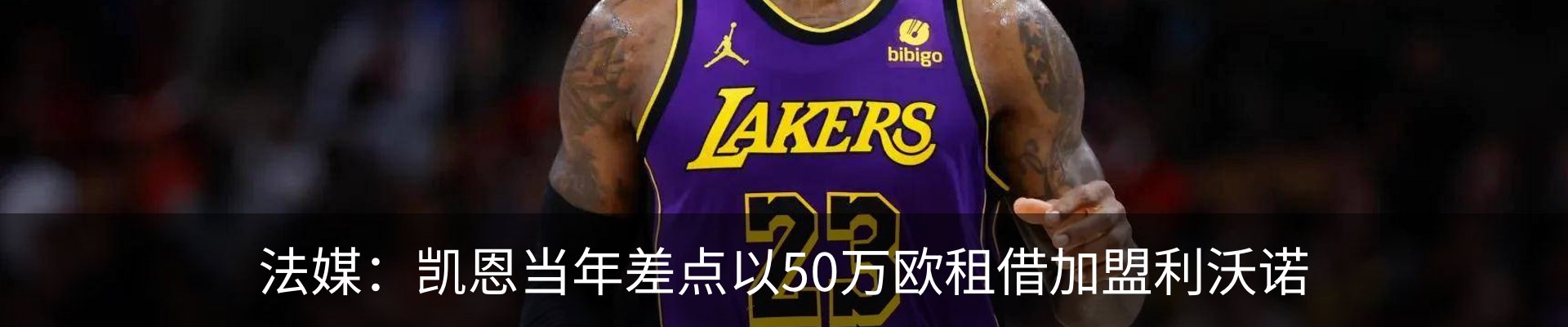 最新动态