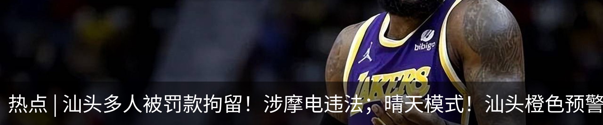 最新动态