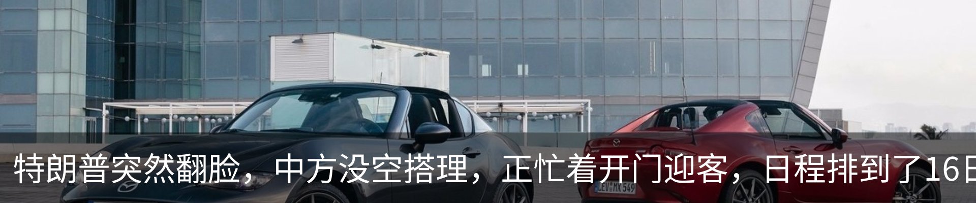 最新动态