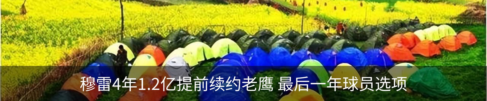 最新动态