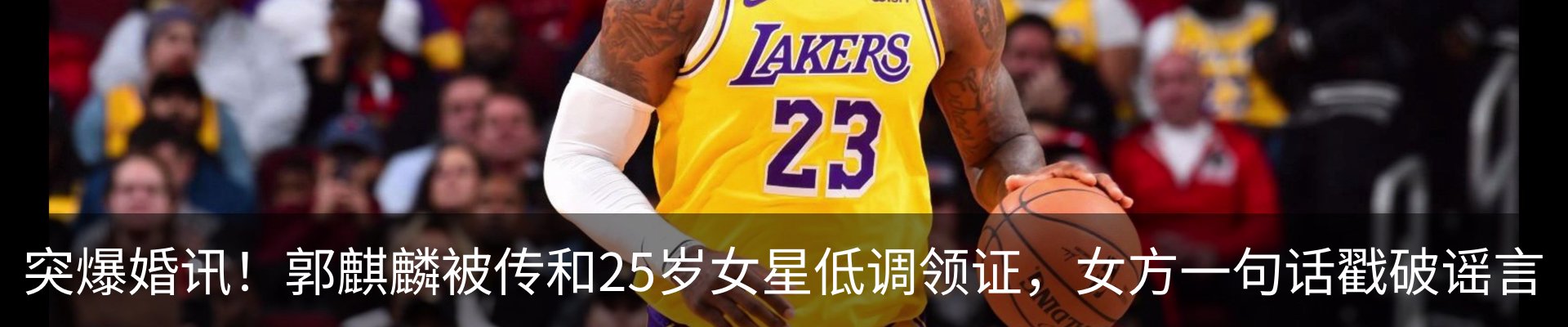 最新动态