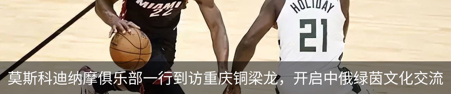 最新动态