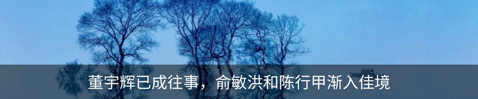最新动态