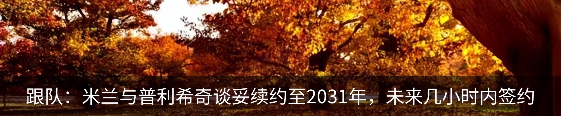 最新动态