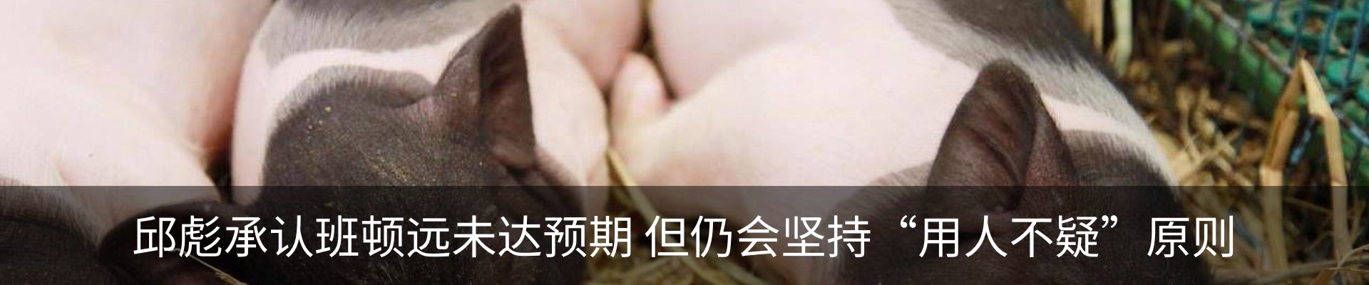 最新动态