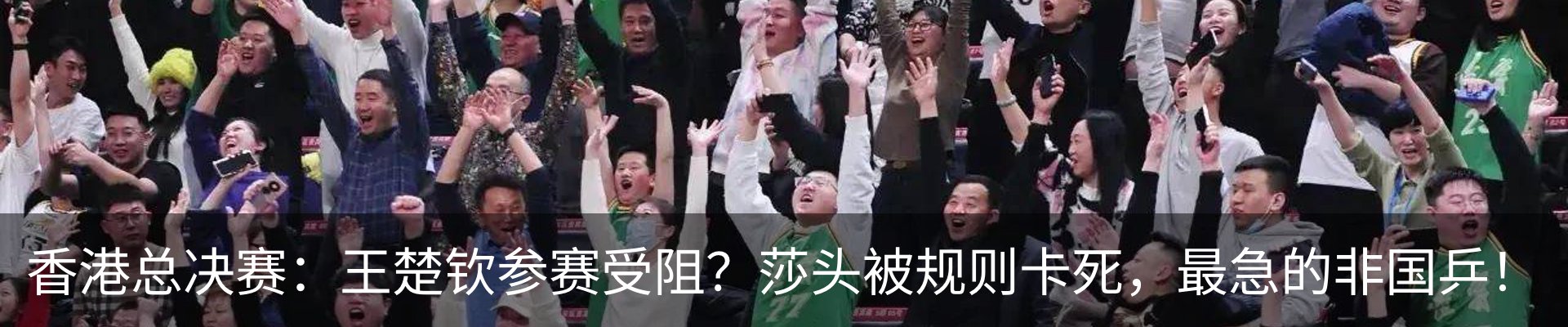 最新动态