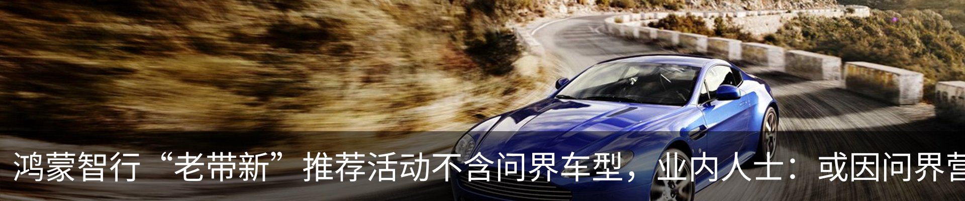 最新动态