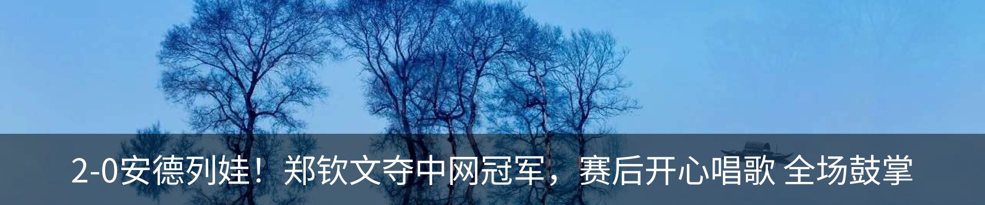 最新动态