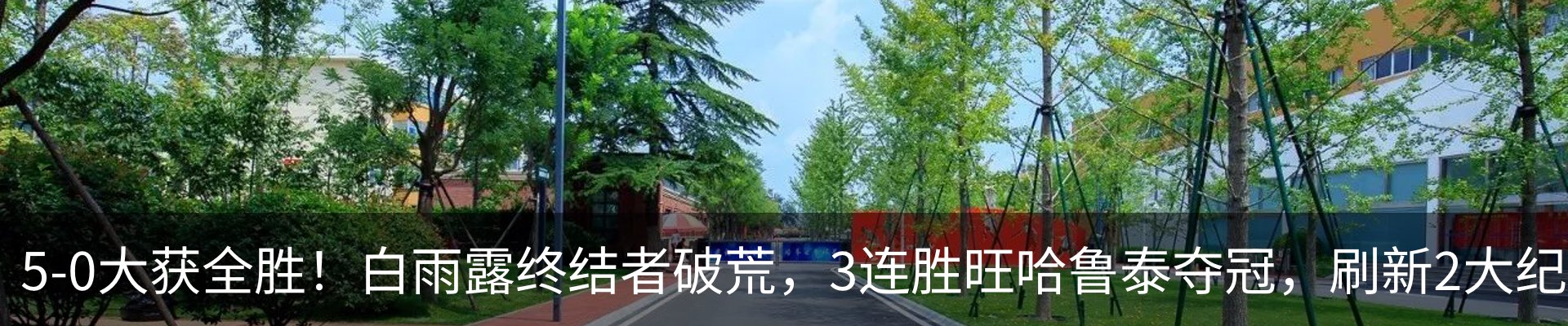 最新动态