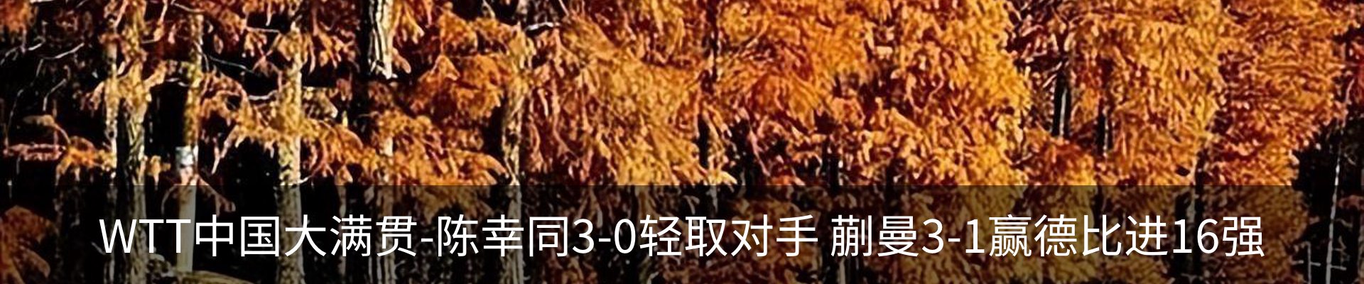 最新动态